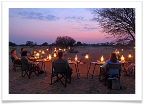 J/B Adventures & Safaris